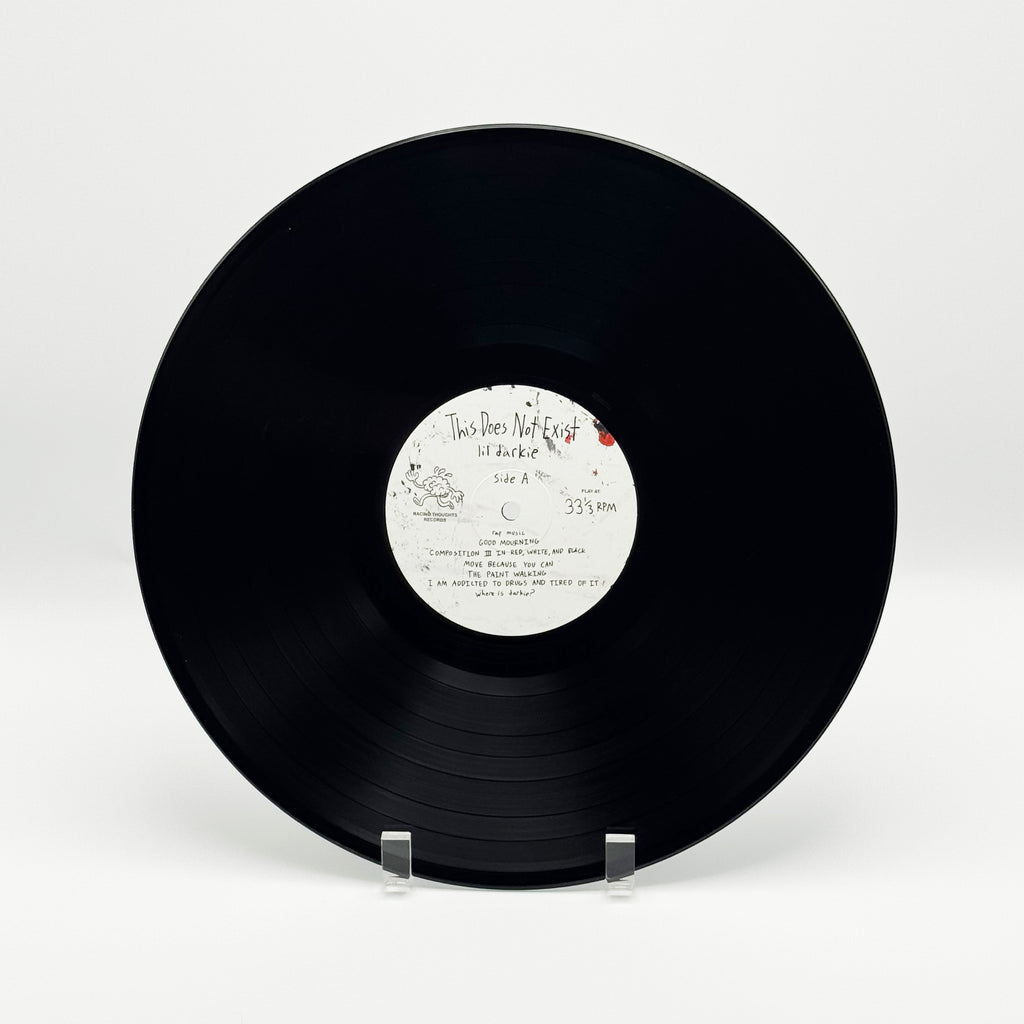 THIS DOES NOT EXIST VINYL DISC